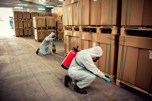 Best Residential Pest Control  in Green Knoll, NJ