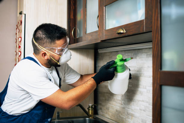 Best Pest Control Near Me in Green Knoll, NJ