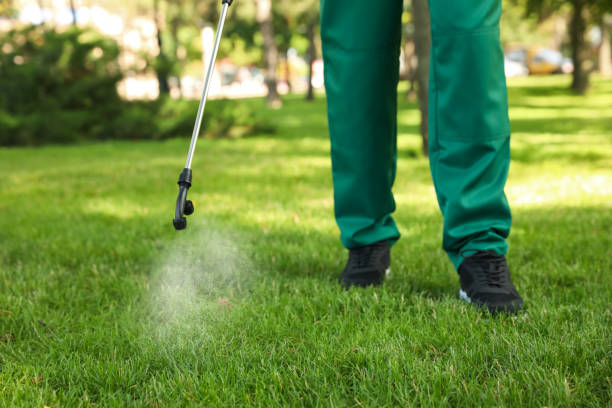 Trusted Green Knoll, NJ Pest Control Experts