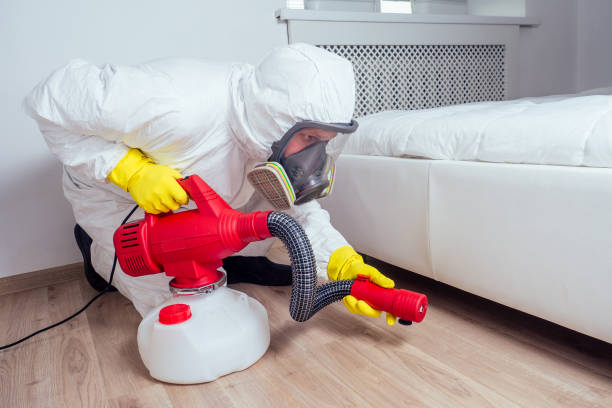 Best Mosquito Control Services  in Green Knoll, NJ