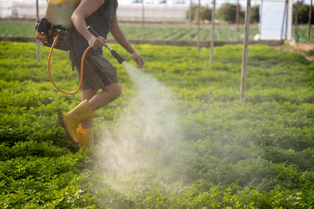 Reliable Green Knoll, NJ Pest Control Solutions