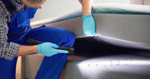 Best Best Pest Control Companies  in Green Knoll, NJ