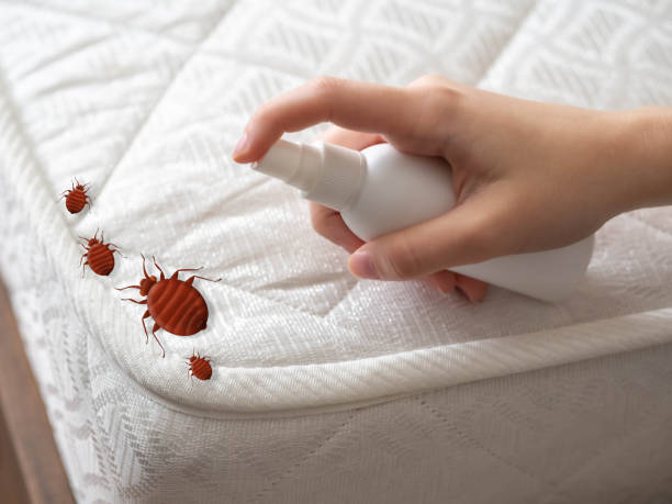 Best Pest Inspection Near Me  in Green Knoll, NJ