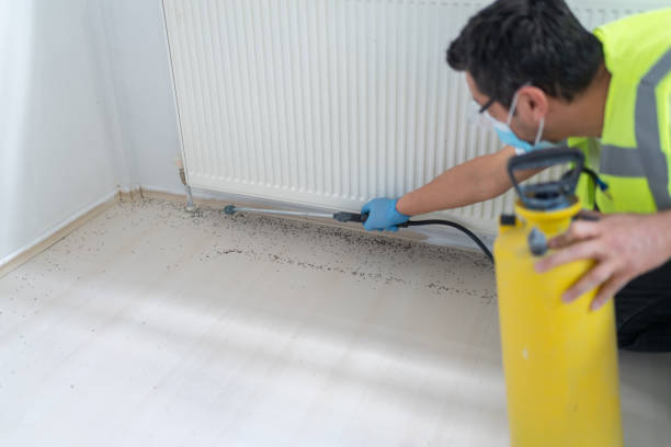 Best Residential Pest Control  in Green Knoll, NJ