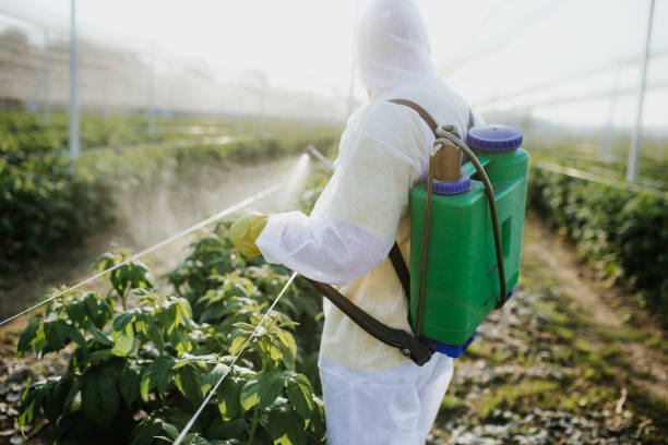 Best Commercial Pest Control Services  in Green Knoll, NJ